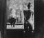Ч/б, окно, девушка, кошка, Алекс Ховитт, Alex Howitt