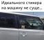 Мем, кот, кошка, наклейка, стикер