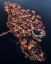 Гулльхольмен, Швеция, остров, мост, Gullholmen, Sweden