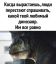динозавр, любимый, грусть