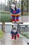 собака, костюм, супермен