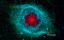 NASA, Spacer Telescope, Hidden Universe, Helix Nebula