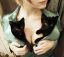 девушка, котята, грудь, коты, котэ