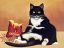 кот, котэ, обжора, кошачий корм