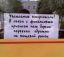 объявление, бутик, рынок