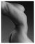 Robert Mapplethorpe