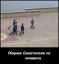 квиддич, севастополь