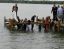 свадьба, мост, вода, падение