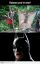 batman, бэтман