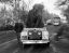 слон, цирк, авто, land rover