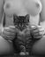 котенок, грудь, ч/б