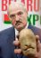 Бацька, Лукашенко, картоха, бульба, картошка, картофель, клубень, картофелина, картошкин, картопля, картофан