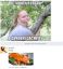 духовка, свинья, яблоко, эксперимент