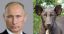 путин, собака