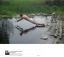 отжимания, вода, Иисус