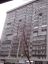 дом, 2010