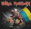 iron maiden, майдан, украина, скелет, череп