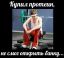 качок, протеин, сила
