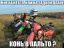 мотоциклы, конь в пальто