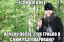 поп, грибы, теология