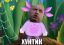 хунтик-лунтик, политота, турчинов, ушки