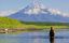 камчатка, гора, вода, медведь