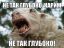 овца, карим