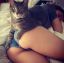котэ, жопа, шорты, одеяло