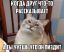 кот, друг, пиздит