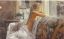 каритна, диван, простынь, Steve Hanks