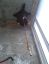 мухоловка, монтажка, окно,Half, Life