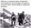 бабка, бревно, дрова, полено