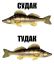 рыба, судак
