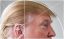 Дональд Трамп, золотое сечение, голова, ухо, прическа