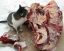 кошка, мясо