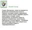 политота, днр, Моторола, Украина